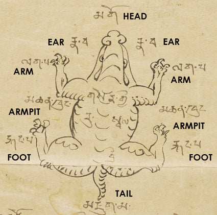 Golden Turtle Sino-Tibetan divination manuscript diagram associated with elemental calculation traditions