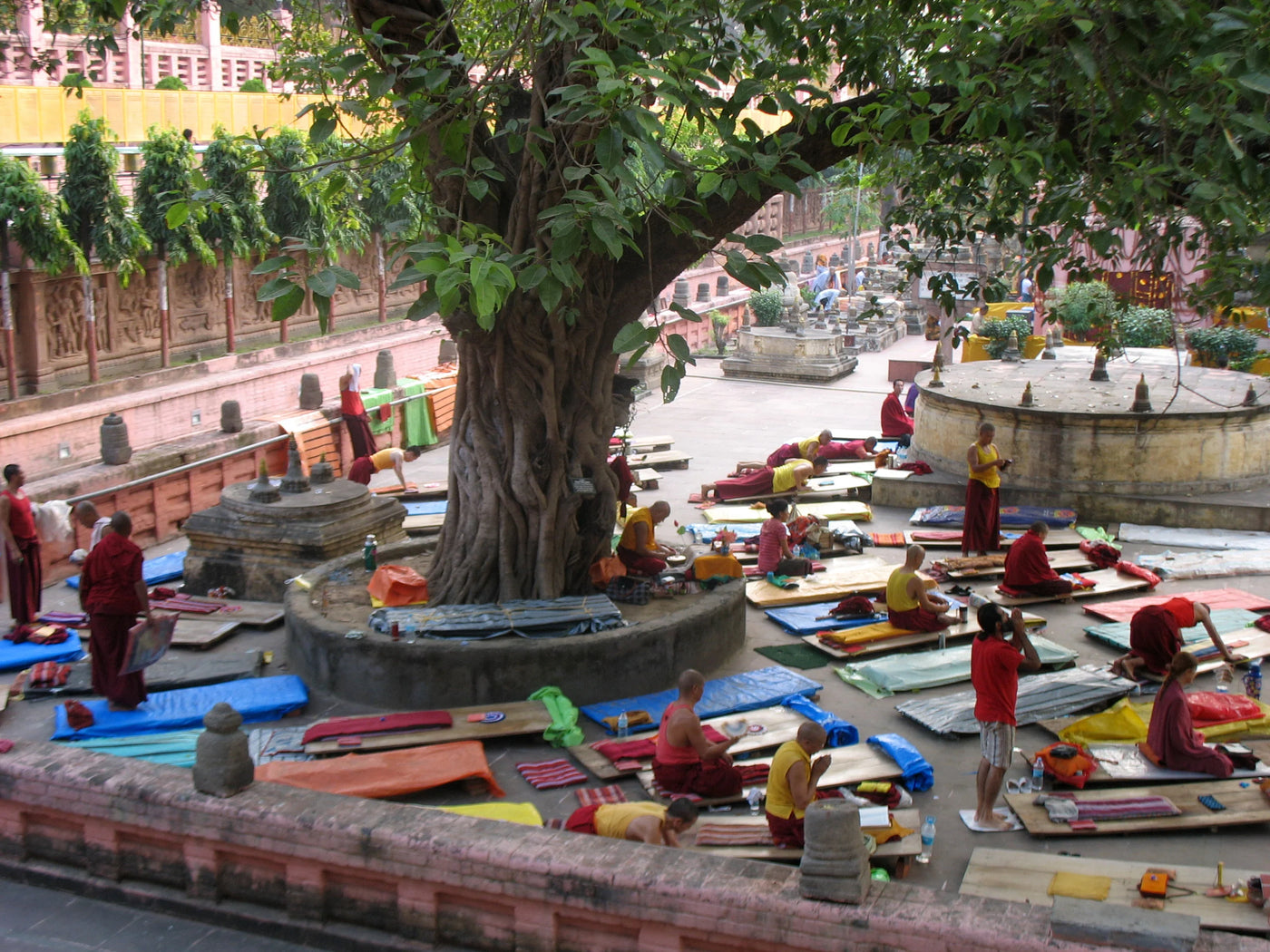 Tibetan Buddhist monks performing full-body prostrations at Bodhgaya